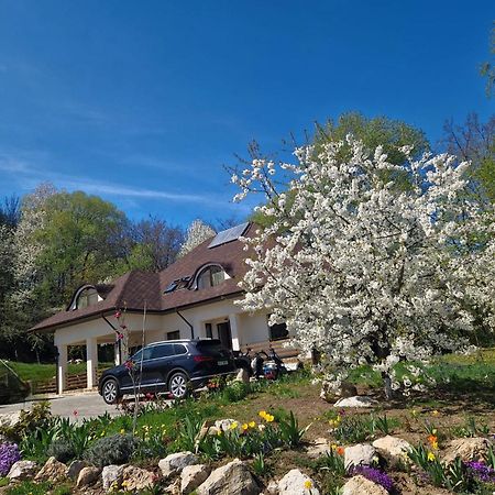 Provence Suceava Exterior foto