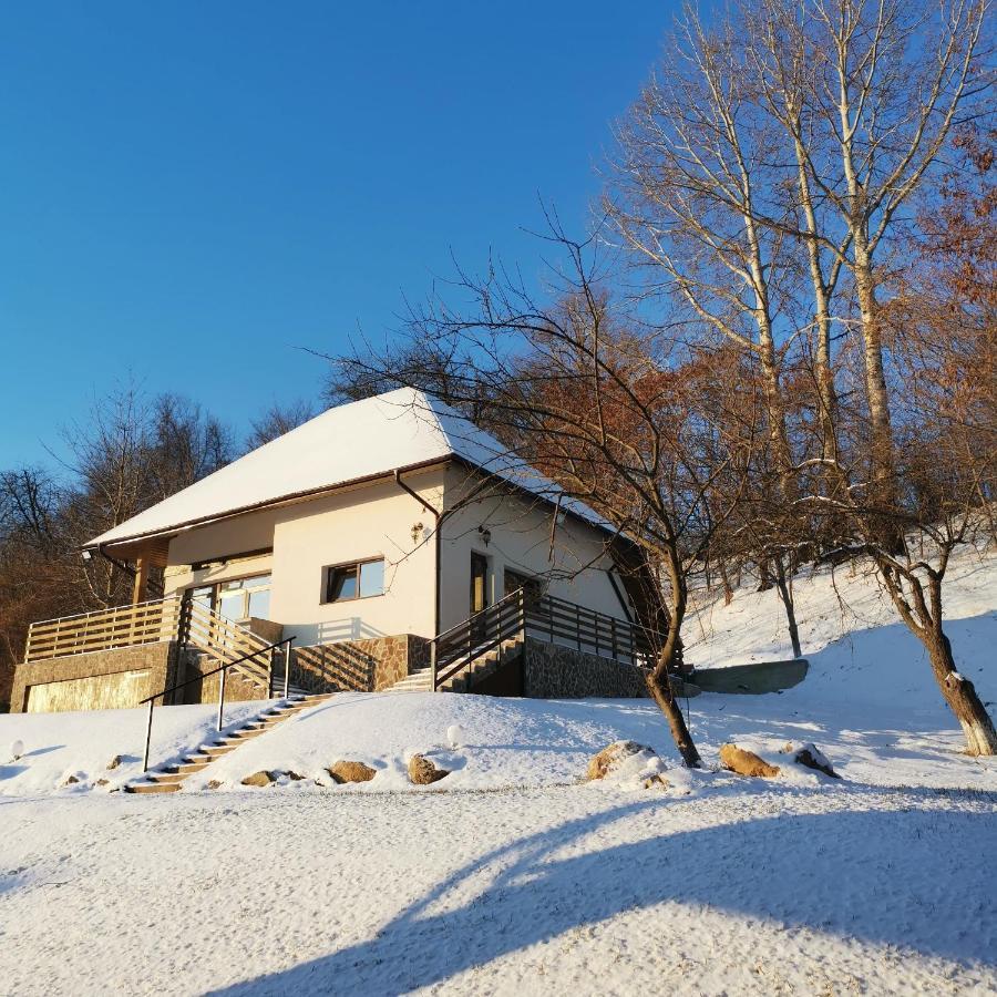 Provence Suceava Exterior foto