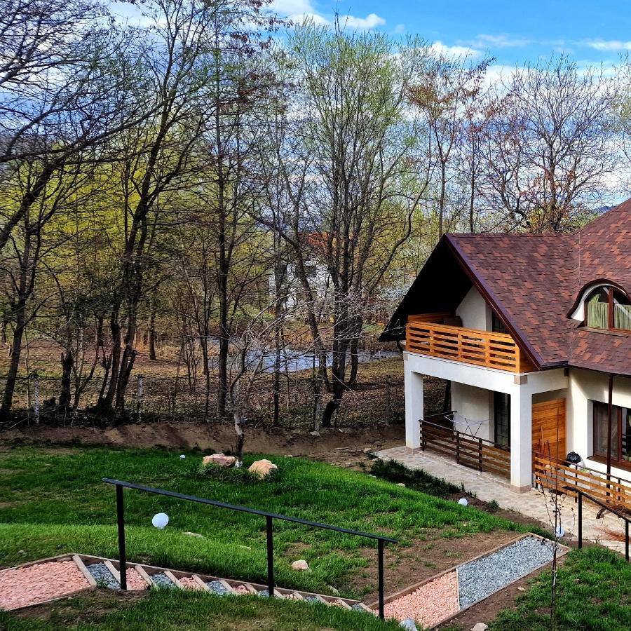 Provence Suceava Exterior foto