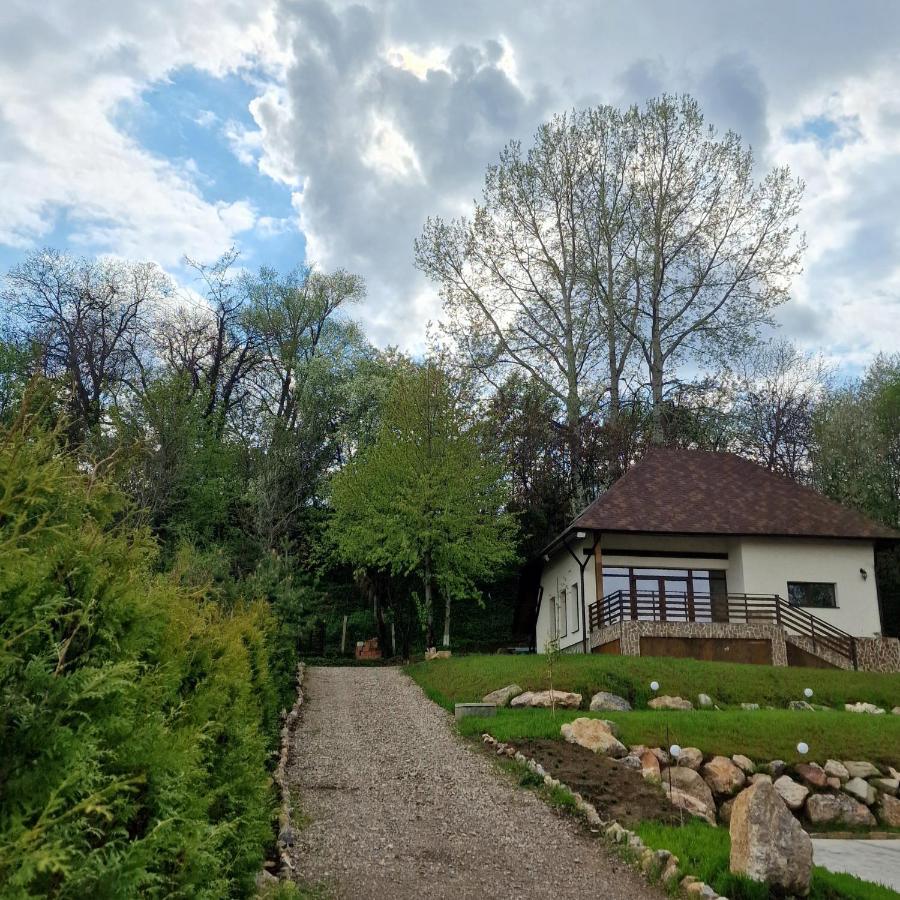 Provence Suceava Exterior foto