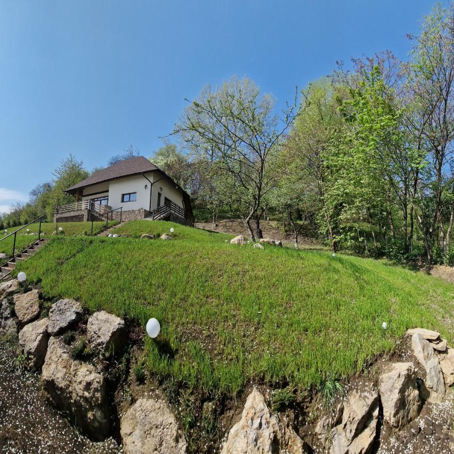Provence Suceava Exterior foto