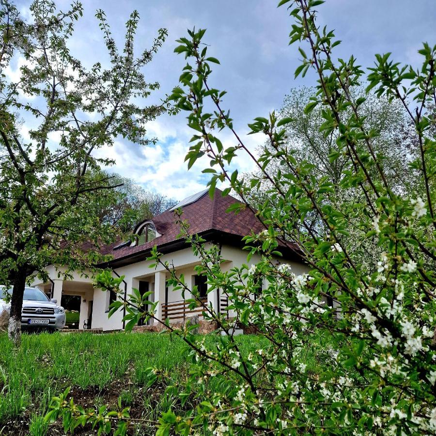 Provence Suceava Exterior foto