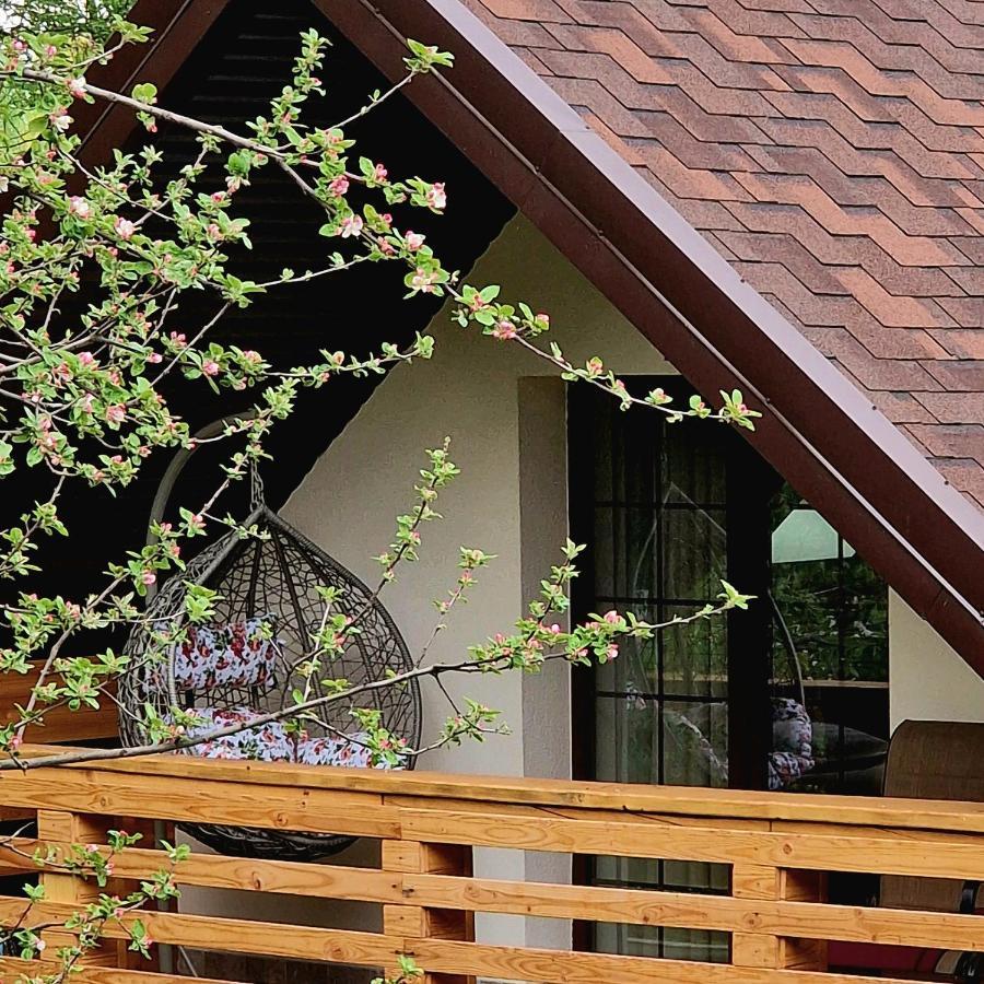 Provence Suceava Exterior foto
