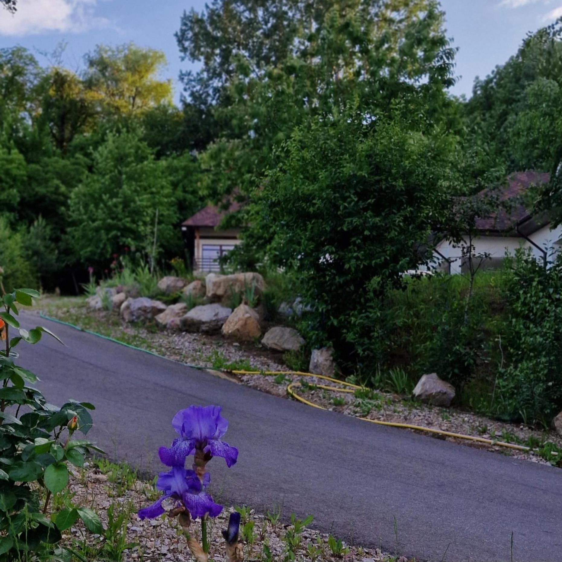 Provence Suceava Exterior foto