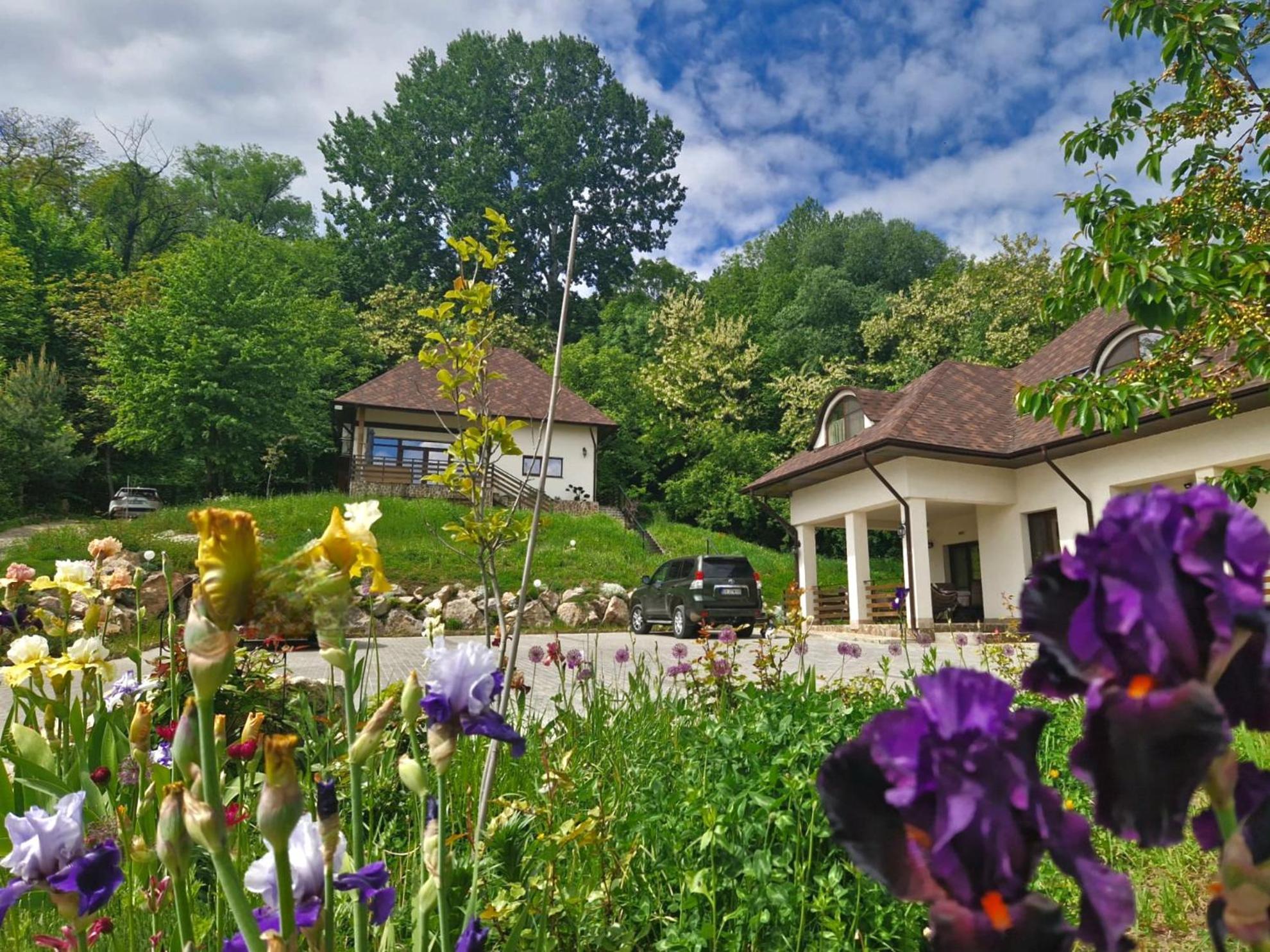 Provence Suceava Exterior foto