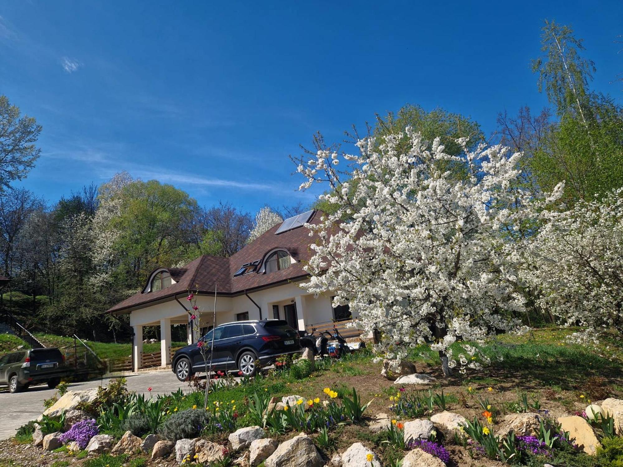 Provence Suceava Exterior foto